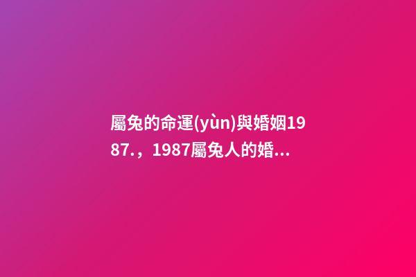 屬兔的命運(yùn)與婚姻1987.，1987屬兔人的婚姻與命運(yùn)如何 87年屬兔35歲2022婚姻
